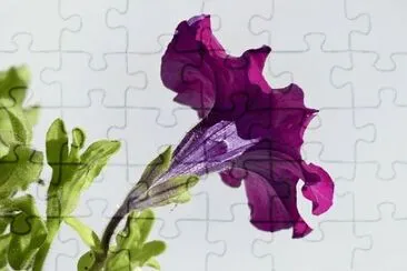 OK jigsaw puzzle