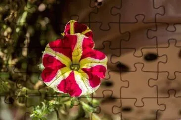 OK jigsaw puzzle