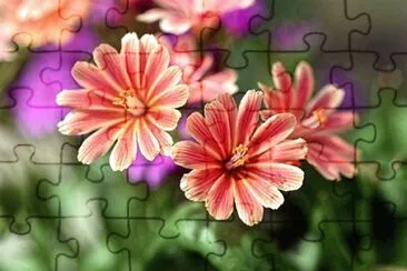 OK jigsaw puzzle