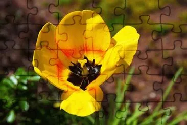 OK jigsaw puzzle