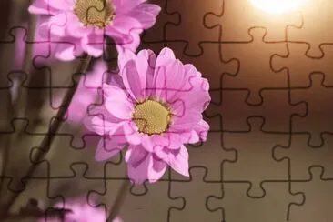 OK jigsaw puzzle