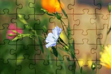 OK jigsaw puzzle