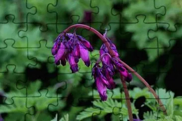 OK jigsaw puzzle