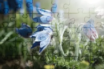 OK jigsaw puzzle