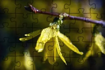 OK jigsaw puzzle