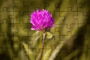 OK jigsaw puzzle