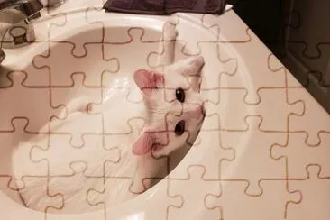 I fits jigsaw puzzle