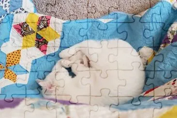 Nap Time jigsaw puzzle