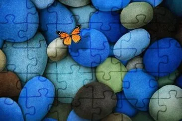 Piedras / Mariposa jigsaw puzzle