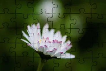 OK jigsaw puzzle