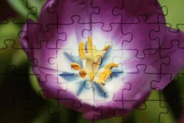 OK jigsaw puzzle