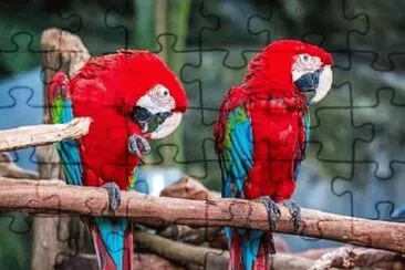 Foto jigsaw puzzle