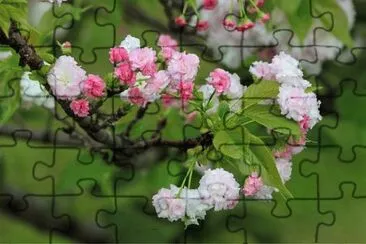 OK jigsaw puzzle