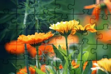 OK jigsaw puzzle