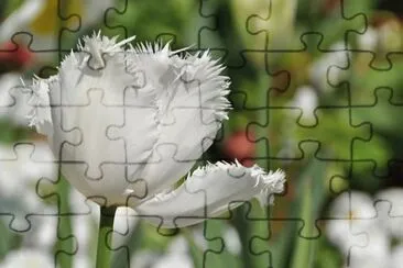 OK jigsaw puzzle