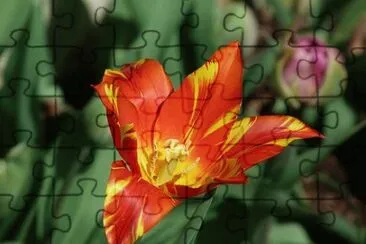 OK jigsaw puzzle