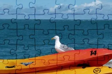 Foto jigsaw puzzle