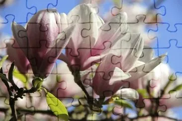 Foto jigsaw puzzle