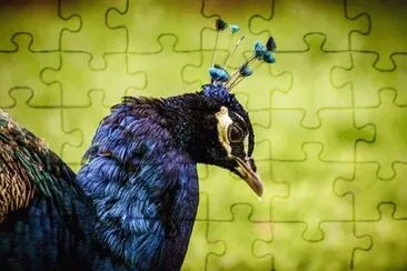 Foto jigsaw puzzle