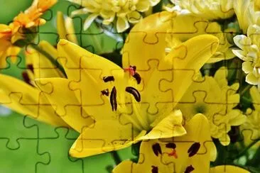 Foto jigsaw puzzle