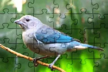 Foto jigsaw puzzle