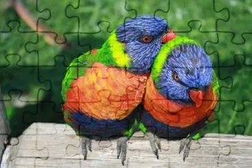 Foto jigsaw puzzle