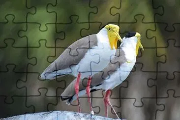 Foto jigsaw puzzle