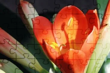 OK jigsaw puzzle