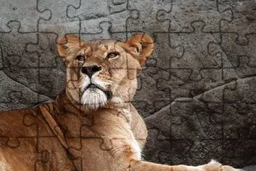 Toy jigsaw puzzle