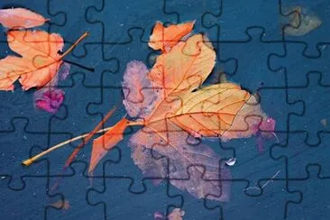 Toy jigsaw puzzle