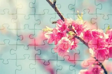 Toy jigsaw puzzle