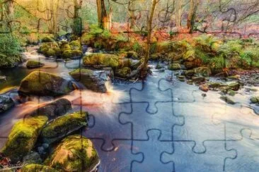 Toy jigsaw puzzle