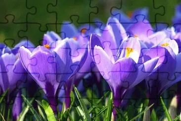 OK jigsaw puzzle