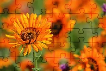 OK jigsaw puzzle