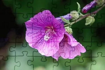 OK jigsaw puzzle