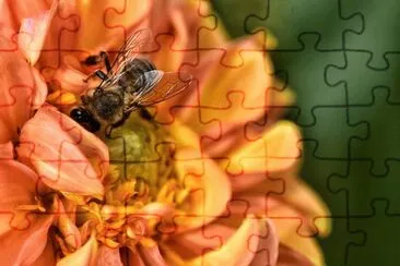 OK jigsaw puzzle