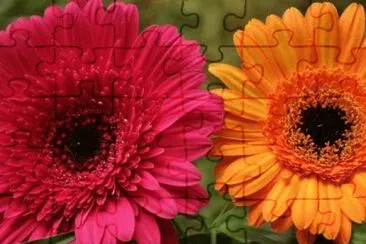 Foto jigsaw puzzle