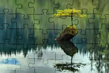 Foto jigsaw puzzle