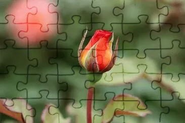 OK jigsaw puzzle