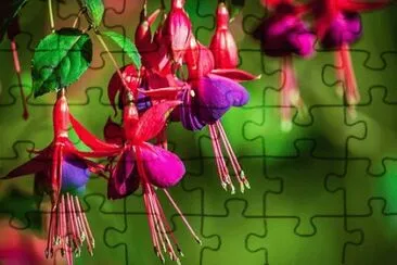 OK jigsaw puzzle