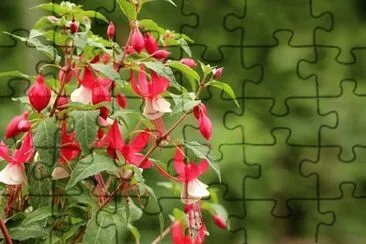 OK jigsaw puzzle