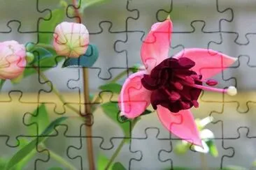 OK jigsaw puzzle