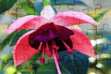 OK jigsaw puzzle