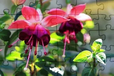 OK jigsaw puzzle