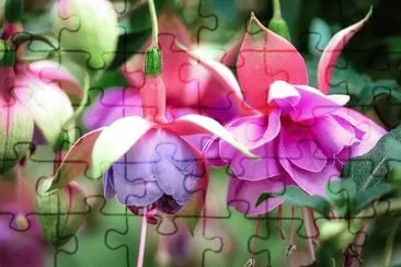 OK jigsaw puzzle