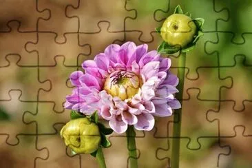 OK jigsaw puzzle