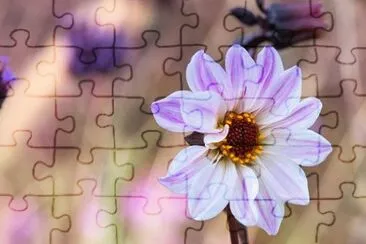 OK jigsaw puzzle