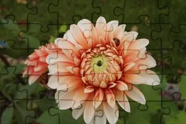 OK jigsaw puzzle