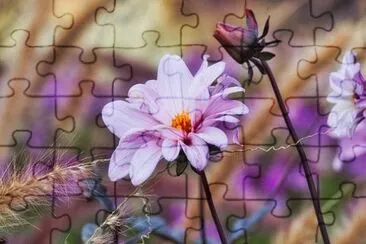 OK jigsaw puzzle