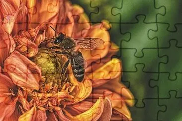 OK jigsaw puzzle